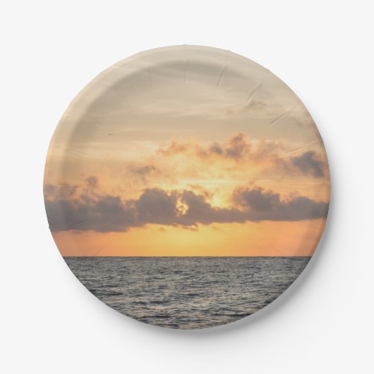 Folly Beach Morning Pappteller (Vorderseite)