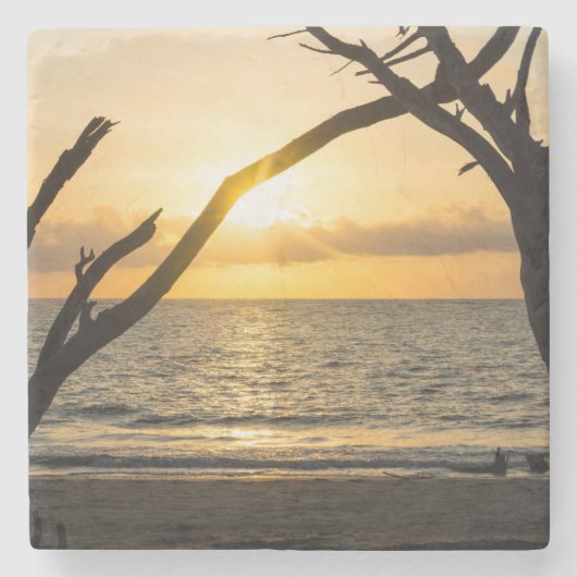 Folly Sunrise Tree Silhouette Steinuntersetzer (Vorderseite)