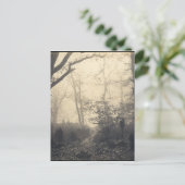 Fontainebleau Forest Postkarte (Stehend Vorderseite)