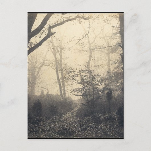 Fontainebleau Forest Postkarte (Vorderseite)