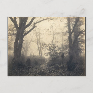 Fontainebleau Forest Postkarte