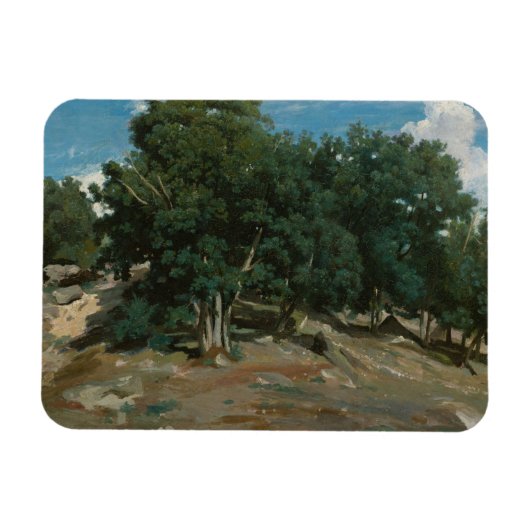 Fontainebleau Oak Trees Magnet (Horizontal)