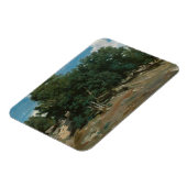 Fontainebleau Oak Trees Magnet (Linke Seite)