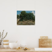 Fontainebleau Oak Trees Poster (Küche)