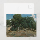 Fontainebleau Oak Trees Postkarte (Vorne/Hinten)