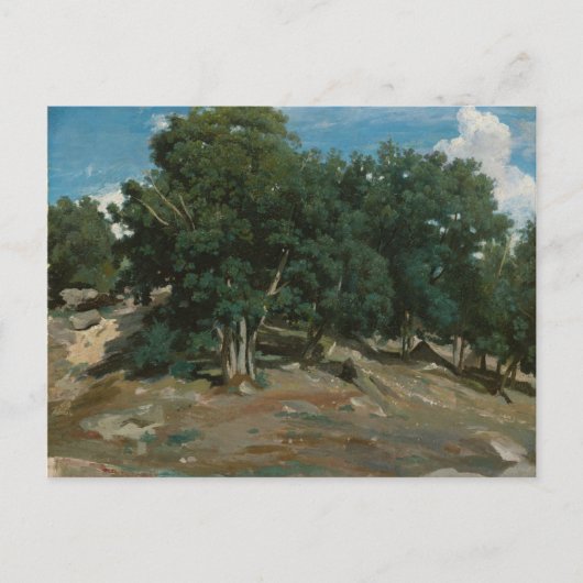 Fontainebleau Oak Trees Postkarte (Vorderseite)