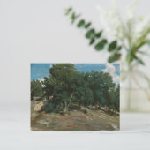 Fontainebleau Oak Trees Postkarte (Stehend Vorderseite)