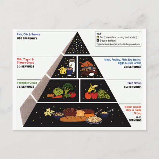 Food Pyramid Postkarte (Vorderseite)