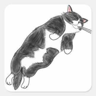 FooFooCat: Lazy Jumbo Tuxedo Cat Quadratischer Aufkleber