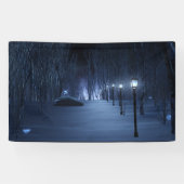 Fool's Light Banner (Horizontal)