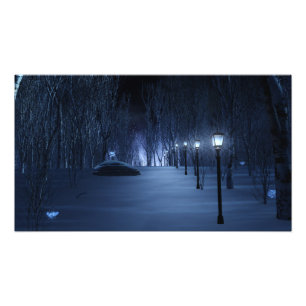 Fool's Light Foto Print