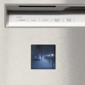 Fool's Light Magnet (In Situ (Geschirrspüler))