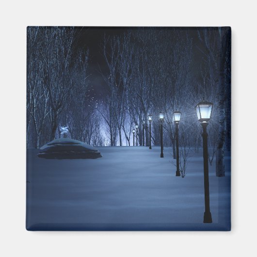 Fool's Light Magnet (Vorne)