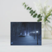 Fool's Light Postcard Postkarte (Stehend Vorderseite)
