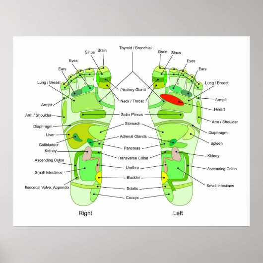 Foot-Akupressur-Diagramm Poster (Vorne)