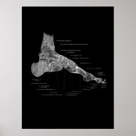 Foot Anatomy Podiatrist Geschenk medizinische Wand Poster