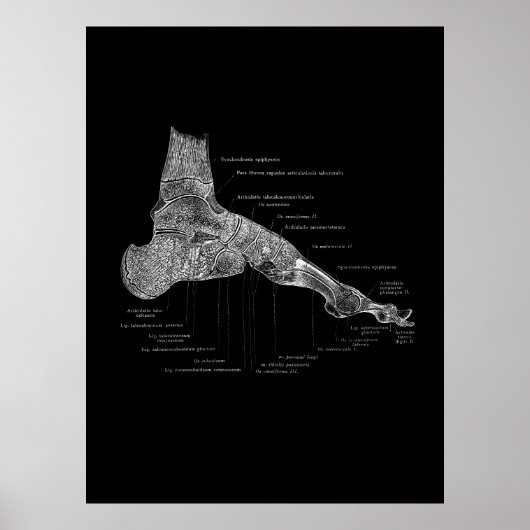 Foot Anatomy Podiatrist Geschenk medizinische Wand Poster (Vorne)