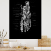Foot Anatomy Podiatrist Medical Poster (Küche)