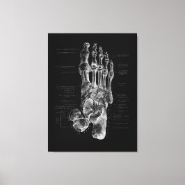 Foot Anatomy Podiatrist Medical Poster Leinwanddruck