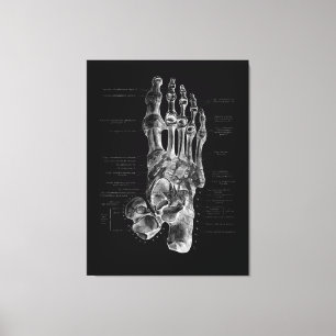 Foot Anatomy Podiatrist Medical Poster Leinwanddruck