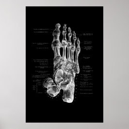 Foot Anatomy Podiatrist Medizinische Wanddekoratio Poster