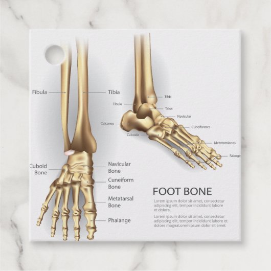 Foot Bone Geschenkanhänger (Vorderseite)