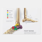 Foot Bone Geschenkpapier Set (Vorderseite)