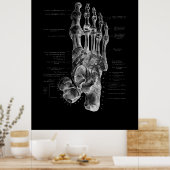 Foot Bones Anatomy Podiatrist Poster (Küche)