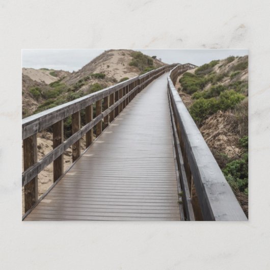 Foot Bridge at Oso Flaco Staat Park Postkarte (Vorderseite)