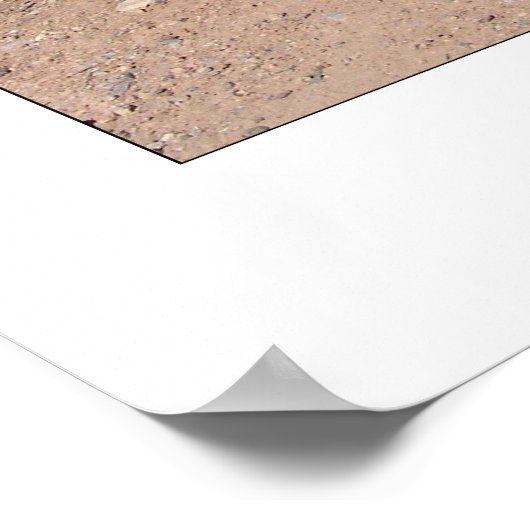 Foot Bridge & Poppies Poster (Ecke)