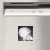 Foot in Mouth X-Ray Magnet (In Situ (Geschirrspüler))