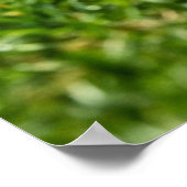 Football Receiver Gloves on Turf Field Poster (Ecke)