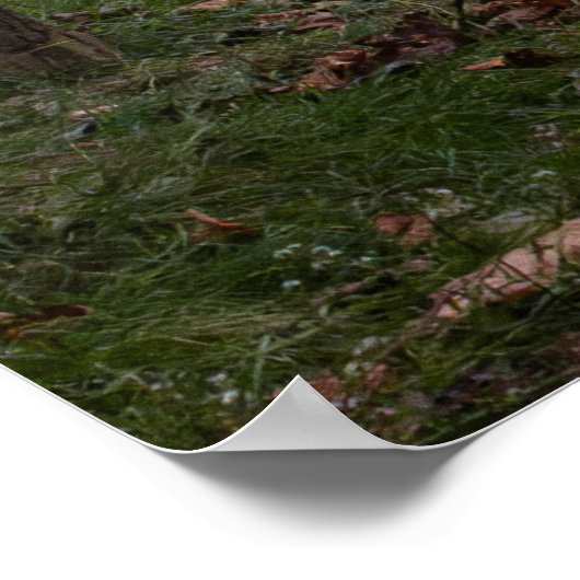 Footbridge in Fall Poster (Ecke)