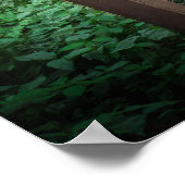 Footbridge Poster (Ecke)