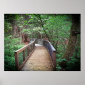 Footbridge Poster (Vorne)