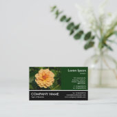 Footed Foto - Dahlia 'David Howard' Visitenkarte (Stehend Vorderseite)