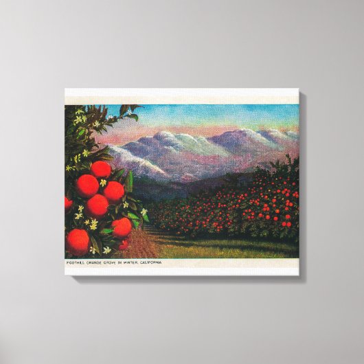 Foothill Orange Grove im WinterState Leinwanddruck (Vorderseite)