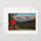 Foothill Orange Grove im WinterState Postkarte (Vorne/Hinten)