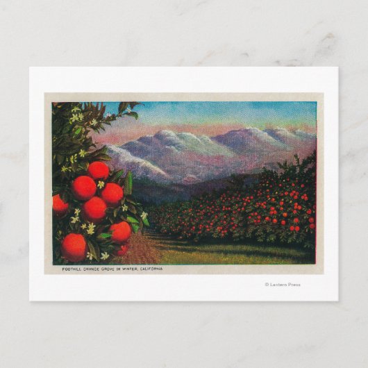 Foothill Orange Grove im WinterState Postkarte (Vorderseite)