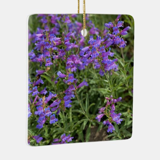 Foothill Penstemon Keramikornament (Rechts)