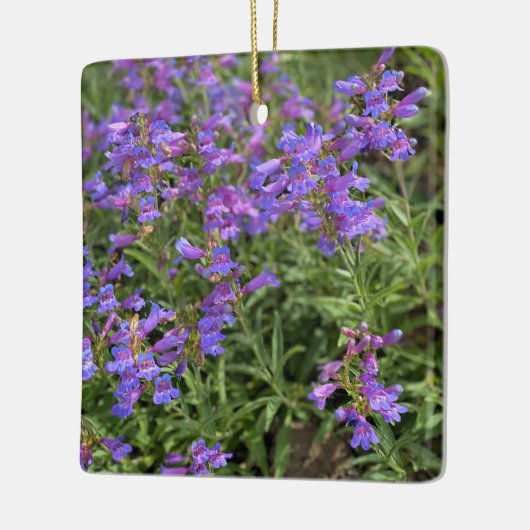 Foothill Penstemon Keramikornament (Links)