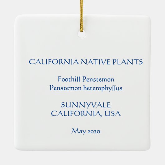 Foothill Penstemon Keramikornament (Rückseite)