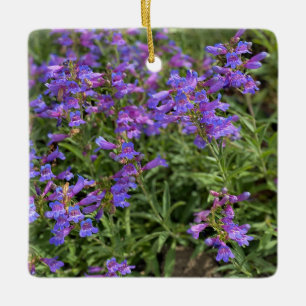 Foothill Penstemon Keramikornament