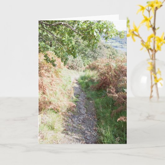 Footpath Coniston England Karte (Gelbe Blume)