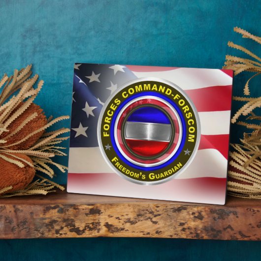 Forces Command FORSCOM Fotoplatte (Seite)