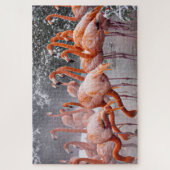 Fordernde Flamingos Foto  Puzzle (Vertikal)