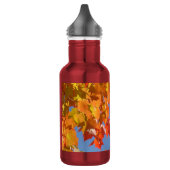 förderndes buntes Herbst-Blätter Edelstahlflasche (Links)