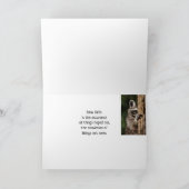 Förderung der Schrift mit Niedlichem Raccoon Karte (Innenseite)