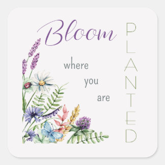 Förderung des Blutes, wo Sie Wildblume pflanzen Quadratischer Aufkleber
