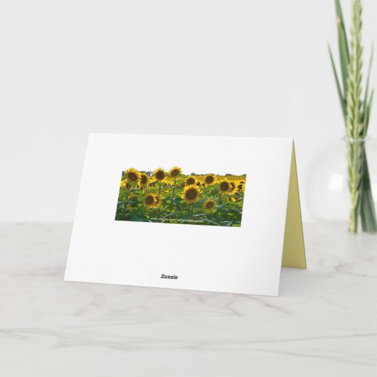 Förderung des Sonnenblumenfeldes Karte (Rückseite)